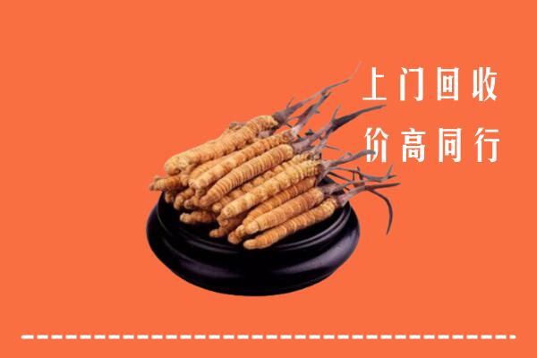 高价求购：伊犁州和布克赛尔回收散虫草