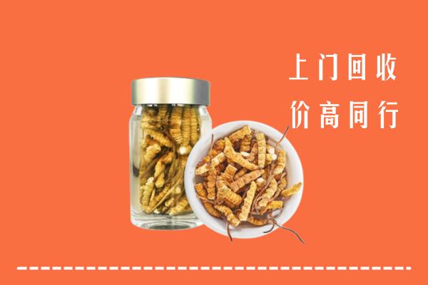 伊犁州和布克赛尔回收冬虫夏草