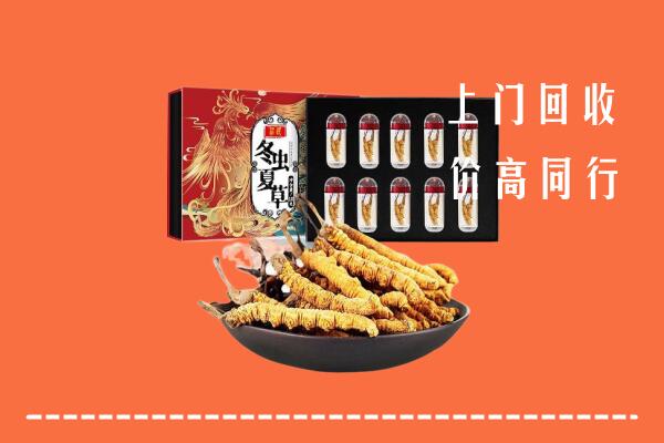 伊犁州和布克赛尔回收虫草